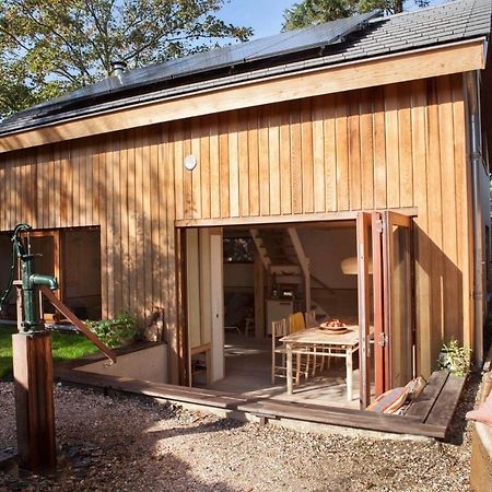 Ecolodge De Parel Schoorl Kültér fotó