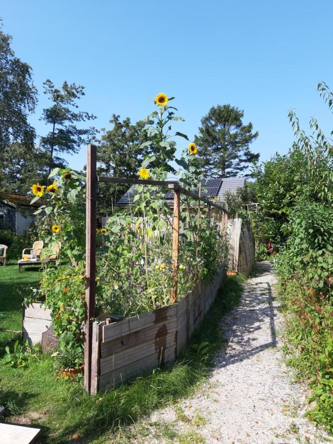 Ecolodge De Parel Schoorl Kültér fotó