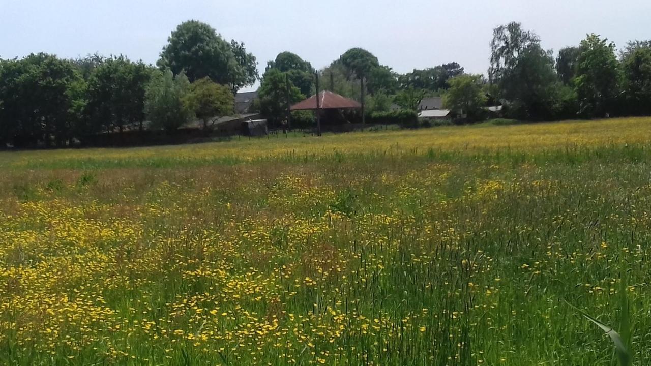 Ecolodge De Parel Schoorl Kültér fotó