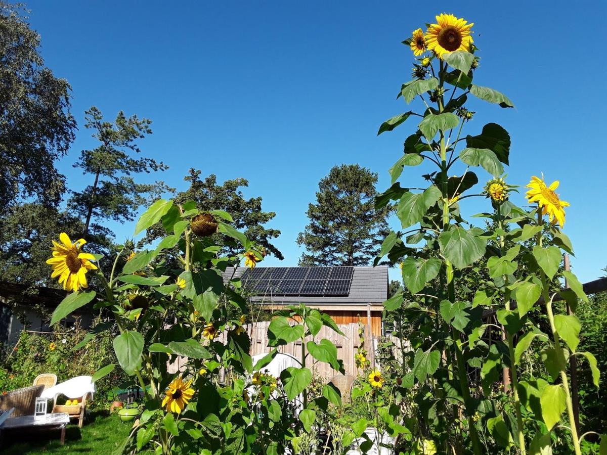 Ecolodge De Parel Schoorl Kültér fotó